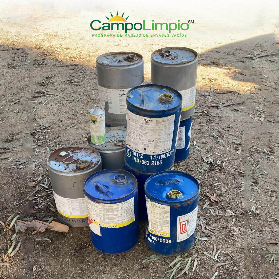 Foto de envases fitosanitarios metálicos vacíos entregados en Quillota